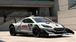 Peugeot RCZ Gr.B Rally Car