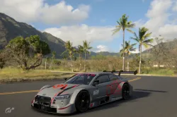 snorky_77Gt