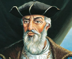 Portogoose