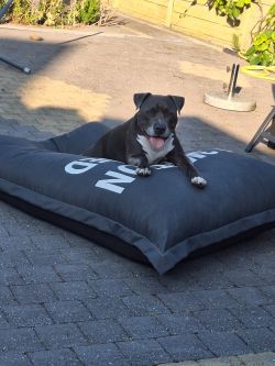 bruggie0916
