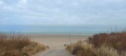 beachboom