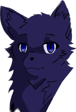 BluberryMonte