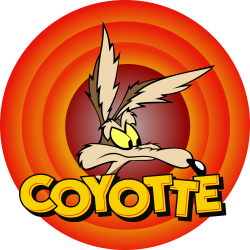 ccoyotte