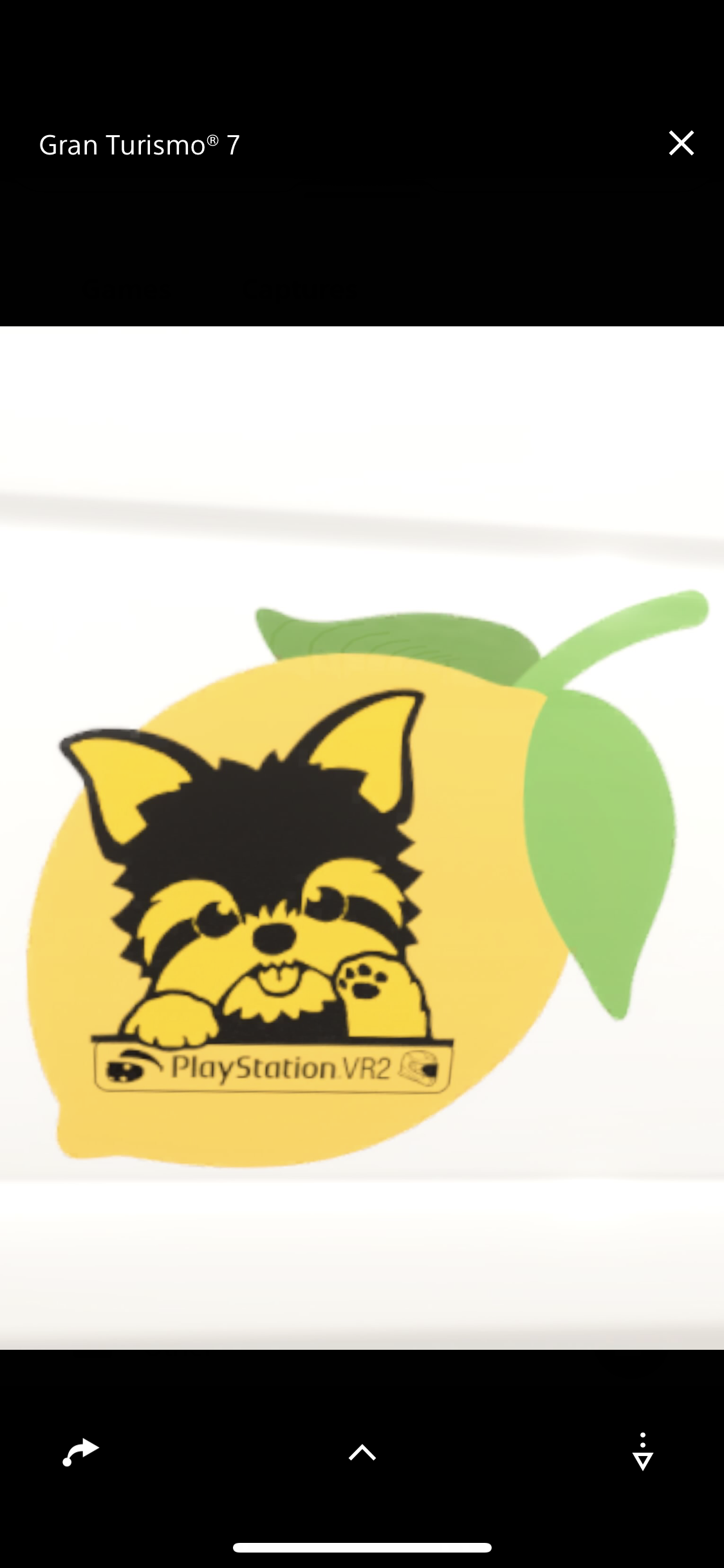 LemonTerrier