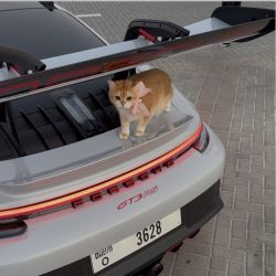 Not_Namby