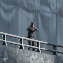 L1NPAOLINO