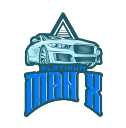 PlatinumManX