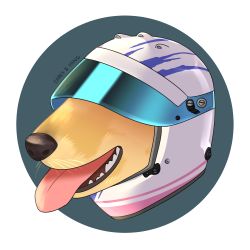 DMK--V