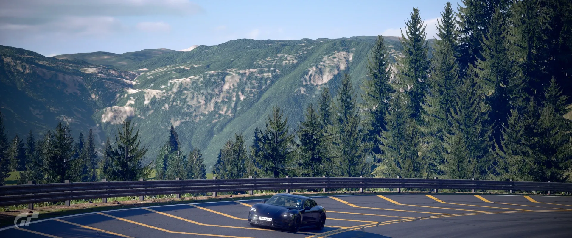 Taycan at the forest