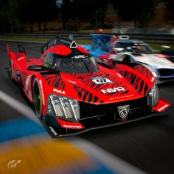 Racing at LeMans