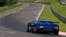 Daily Race Discussion